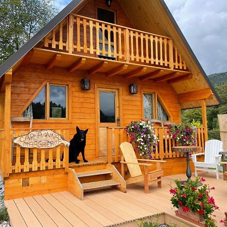 Agri Camp Dolomiti Apartment Belluno Exterior photo