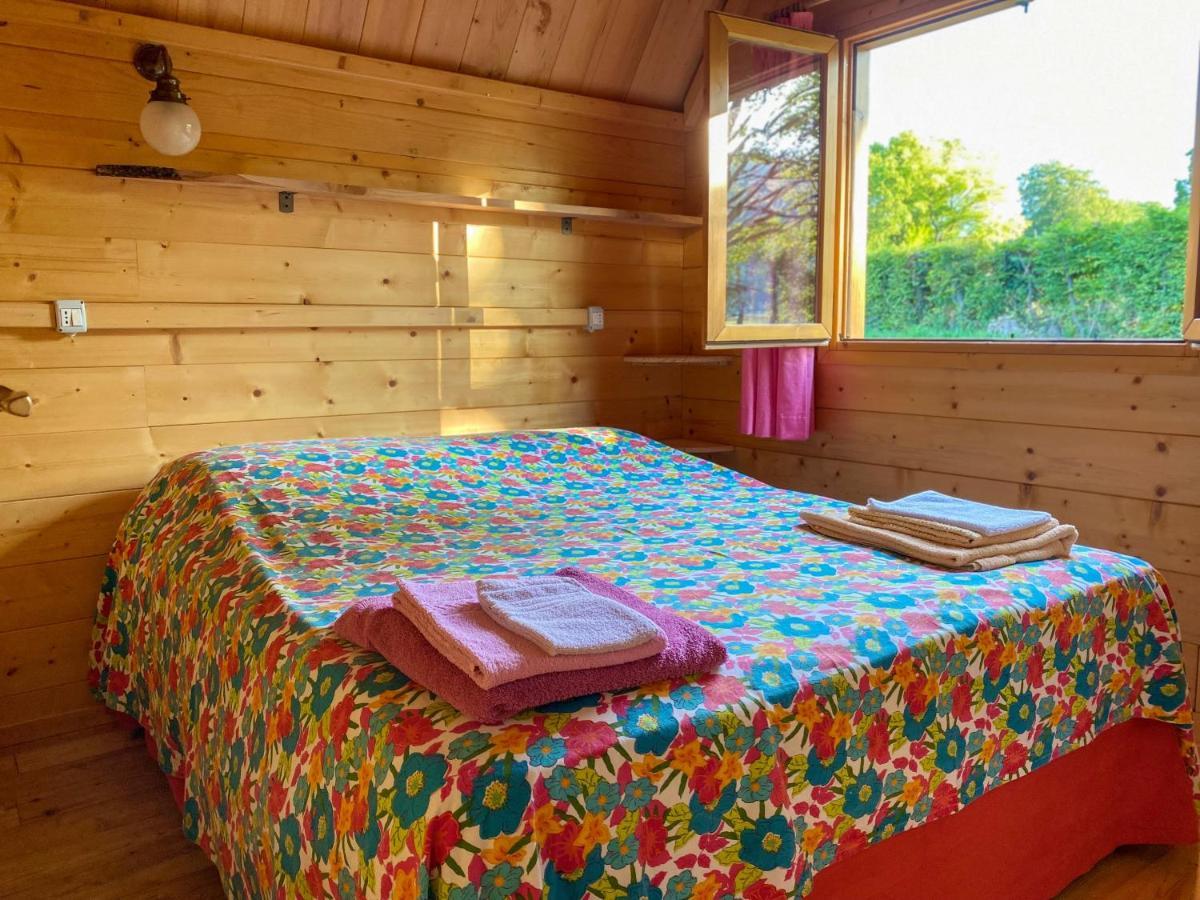 Agri Camp Dolomiti Apartment Belluno Exterior photo