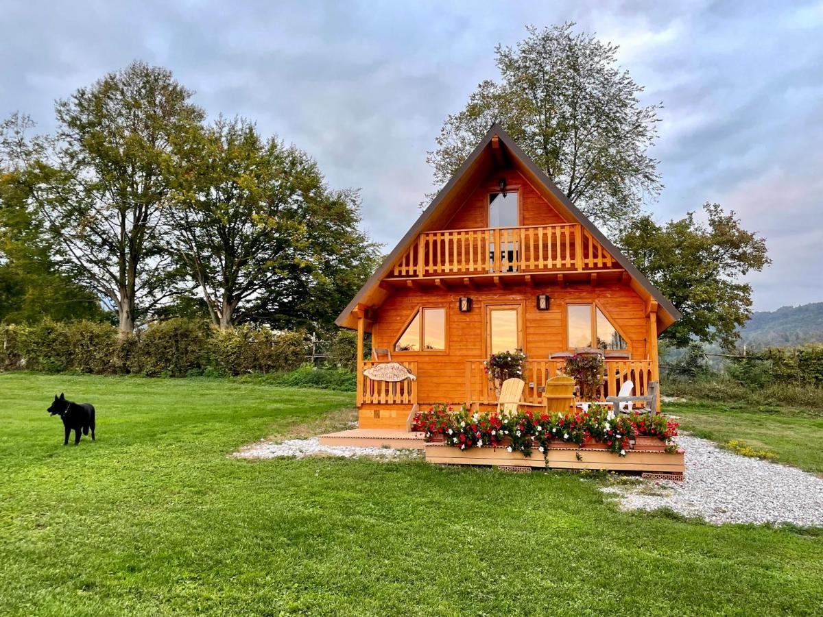 Agri Camp Dolomiti Apartment Belluno Exterior photo