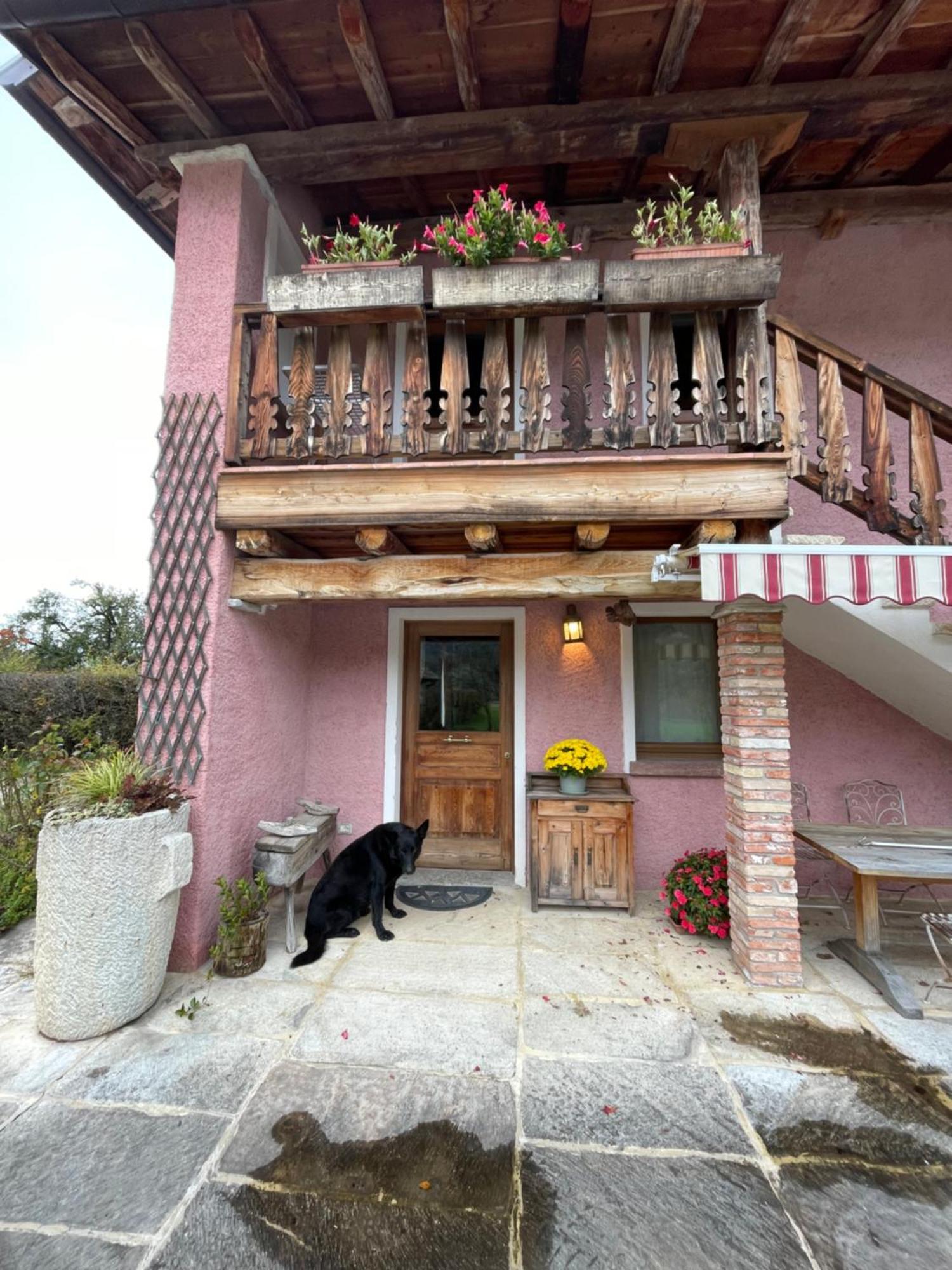 Agri Camp Dolomiti Apartment Belluno Exterior photo